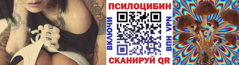 Псилоцибиновые грибы Psilocybine cubensis  Невинномысск 