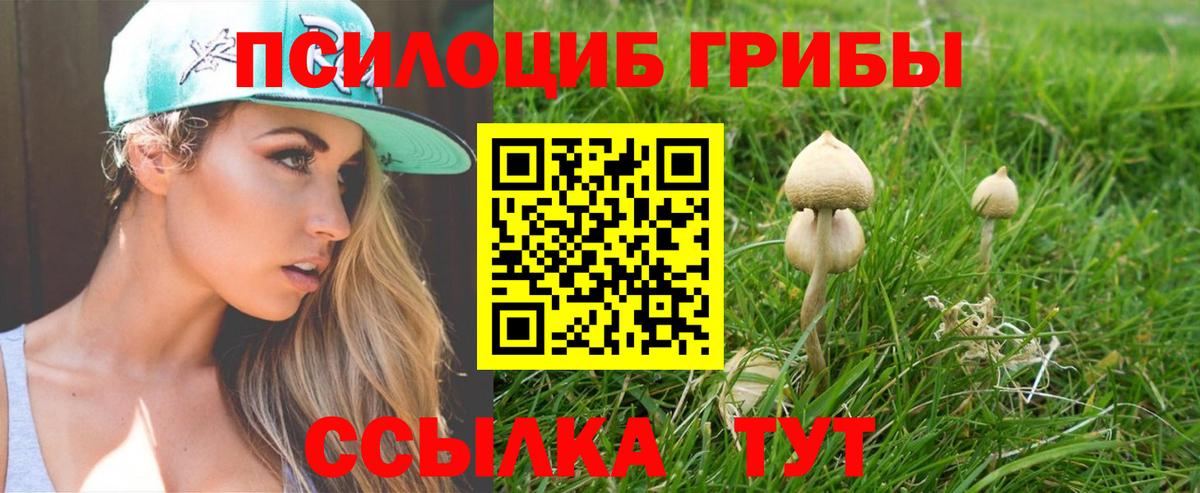 Невинномысск  Псилоцибиновые грибы прущие грибы  Вход с VPN  Галлюциногенные грибы MAGIC MUSHROOMS 